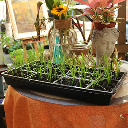 Gardzen 10 Pack Seed Trays, Reusable Plant Grow Trays, Ideal for Seed Starting, Microgreens, Indoor Gardening, and Greenhouse Nurseries - No Drain Holes, 20"x10" - size: 21L x 11W x 2.4H