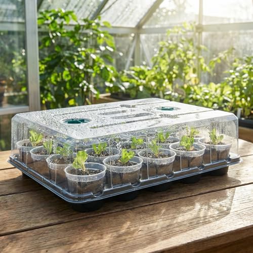 3 Inch Seed Starter Trays 2 Pack,20-Cell Seedling Starter Trays with Grow Light/Humidity Dome/3" Nursery Pots 40 Pcs,Planting Trays for Seedling,Plastic Germination Kit for Growing - size: 3 Inch, style: 2 Pack Tray+Pots+Dome+Grow Light