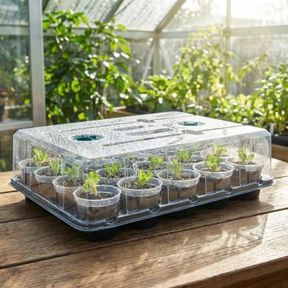 3 Inch Seed Starter Trays 2 Pack,20-Cell Seedling Starter Trays with Grow Light/Humidity Dome/3" Nursery Pots 40 Pcs,Planting Trays for Seedling,Plastic Germination Kit for Growing - size: 3 Inch, style: 2 Pack Tray+Pots+Dome+Grow Light