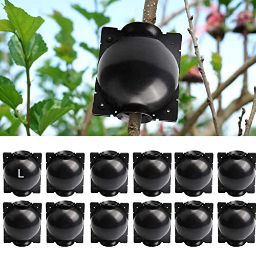 12 PCS Plant Root Growing Box, Reusable Air Layering Propagation Kit Rooting Ball Grafting Tools for Plant Propagation - size: Large
