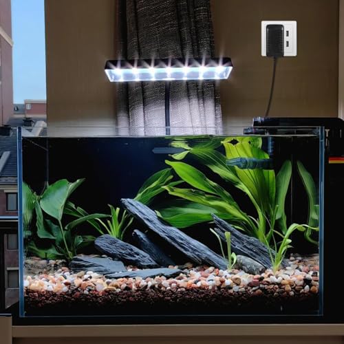 LED Power Adapter AC110-240V DC12V 1A Switching Power Supply Converter for Aquarium Fish Tank Light (US Plug)