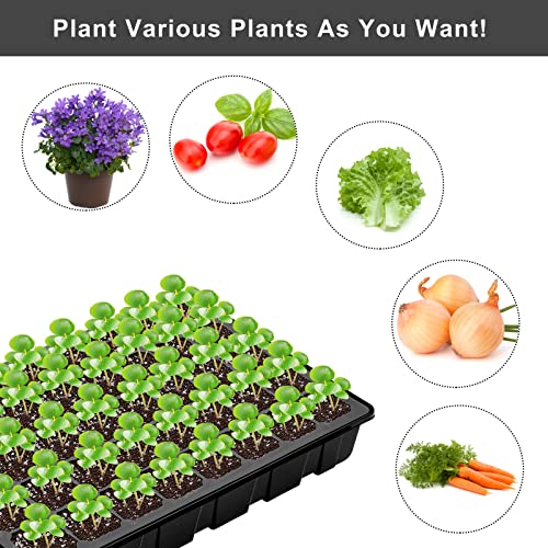 Elcoho 6 Pack Seed Starter Tray Kit 40 Cells Seedling Trays with Humidity Dome and Base Mini Propagator Plant Nursery Pots Total 240 Cells for Greenhouse Plants Growing, Black - color: Black