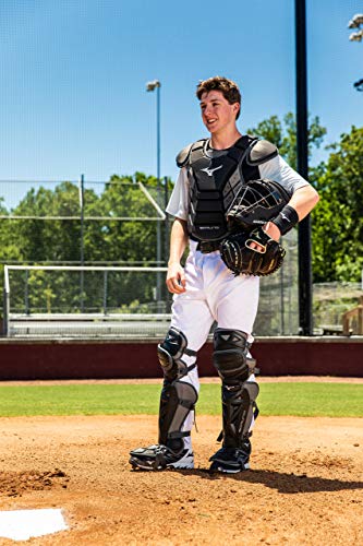 Mizuno Mizuno Samurai Baseball Chest Protector - color: Black/Purple, size: 15"