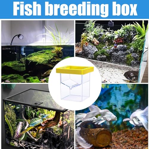 Fish Breeder Box, Floating Isolation Tank, Suction Cup Hatchery, Transparent Aquarium Incubator, 3.39 Inches Safe Breeding Container for Baby Shrimp and Guppy Fish