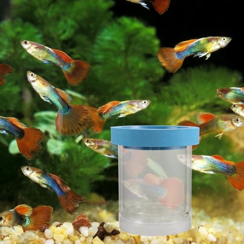 2pcs Floating Fish Breeding Box Plastic Aquarium Hatchery Incubator Isolation Tank for Small Fish Fry Guppy Betta Nursery