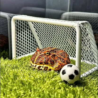 Fish Tank Decorations Stainless Steel Mini Soccer Goal & Football Set, Aquarium Decor & Accessories, Fish Tank Toys for Betta, Goldfish & Turtles, Mini Soccer Net Aquarium Ornament