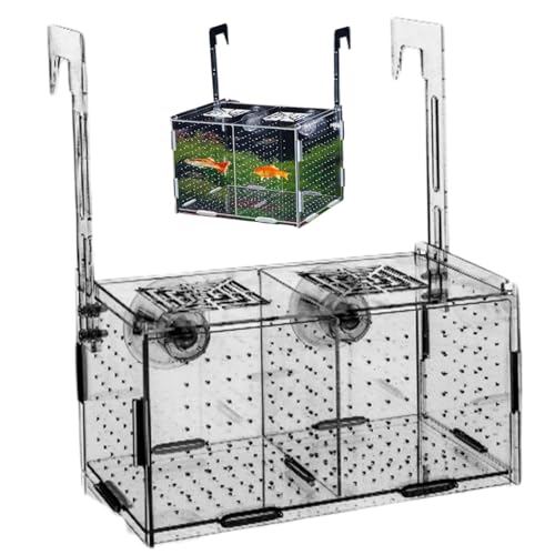 Fish Breeding Box, Transparent Insulation Breeder Box for Fish Tank, 8x4x4 Detachable Acrylic Small Fish Tank with Suction Cups for Shrimp, Clown Fish and Guppy Fish Breeder Box for Aquarium