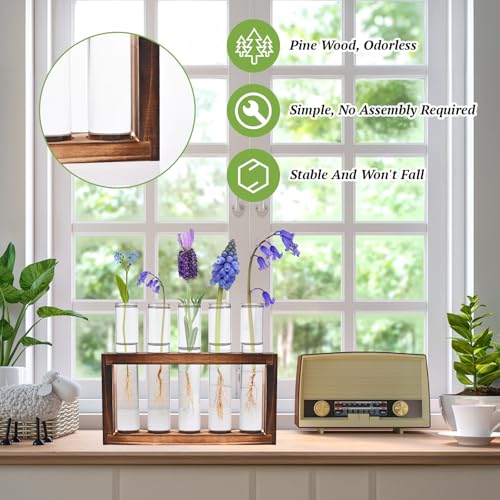 2pcs Desktop Glass Plant Propagation Station with 10 Test Tubes in Wooden Stand - Hydroponic Plants Cutting Office Home Decoration and Garden Decor Terrarium (10 Tubes)