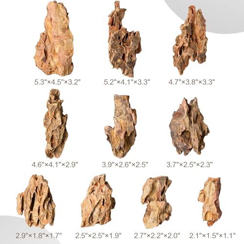 2.2-4.1 Inches Natural Dragon Stone, 10 PCS Small Aquarium Rocks for Aquascaping, Nano Tanks, Terrariums, Reptile Tanks & Aquarium Décor