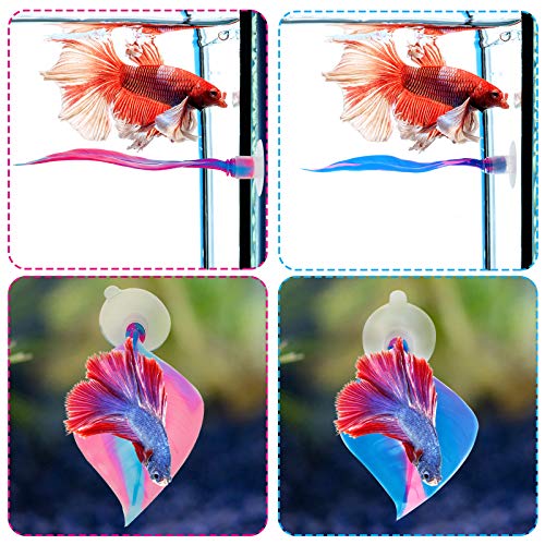 WILLBOND 2 Pcs Blue Pink Silicone Betta Fish Bed Leaf Hammock Betta Fish Tank Accessories Decorations for Aquarium Ornaments, Practical Resting Spot, Comfortable and Safe