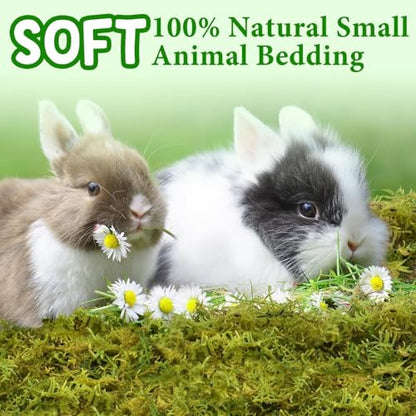 12QT Small Animals Bedding & Nesting Material, Forest Moss for Odor Control Rabbits Squirrels Hamsters Guinea Pigs, Soft & Safe for Small Animals Cages Terrariums Reptiles Plants