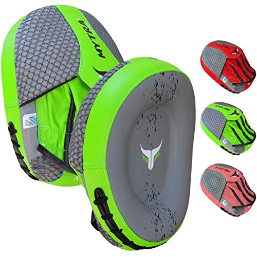 Mytra Fusion Real Leather Target Focus Mitt for Boxing, Punching, Training and Kick Boxing - color: Grey/Green