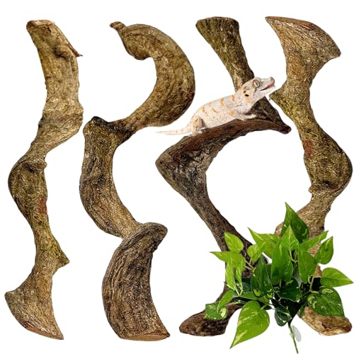 4PCS Natural Reptile Climbing Branches Decor,0.8-1.2" Thick Snake Climbing Forest Wood with Plant Leaf Decor,Lizard Forest Branch,Geckos Tank Tree Trunk Accessories for Bearded Dragons - size: 4PCS|S:0.75-1.25"T,13"H