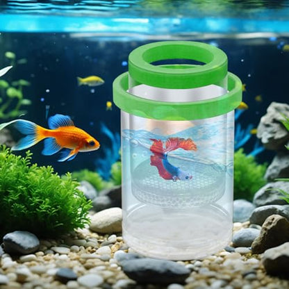 Fish Breeder Box - Clear Acrylic, Strong Suction Cups, V-Grate, Safe Fry Hatching Tank Guppy, Protects Fish, Betta Shrimp Isolation Space, Aquatic Separator Nursery | for Aquarium - color: Green