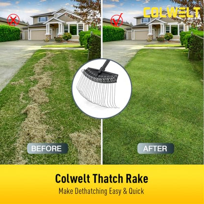 Thatch Rake, Dethatcher Rake with Thin, Curved Spring Steel Tines, Dethatching Thatching Rake for Lawns with 61’’ Steel Handle, Lawn Tine Rakes for Pine Needles, Dead Grass, Garden Debris