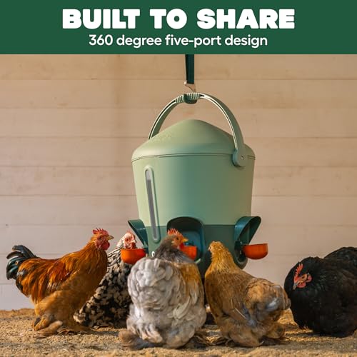 Omlet Insulated Chicken Waterer, 3 Gallon | Stay-Clean Automatic Water Dispenser for Chickens | BPA-Free | Anti-Roost Domed Lid | Includes 5 Cups & Nipples | Sage Green - color: Sage Green, size: 3 Gallon