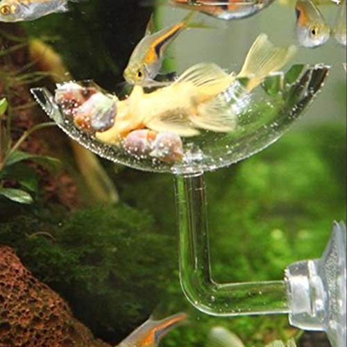 3PCS Shrimp Feeding Tube, Aquarium Glass Shrimp Feeding Tube Food Dish Pipe Holder Acrylic Fish Shrimp Feeder Tube with Holder Clip Feeding Bowl Set Aquarium Accessory(35cm)
