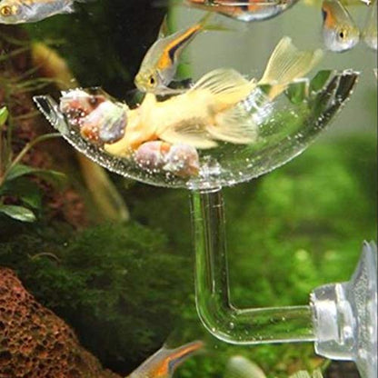3PCS Shrimp Feeding Tube, Aquarium Glass Shrimp Feeding Tube Food Dish Pipe Holder Acrylic Fish Shrimp Feeder Tube with Holder Clip Feeding Bowl Set Aquarium Accessory(35cm)