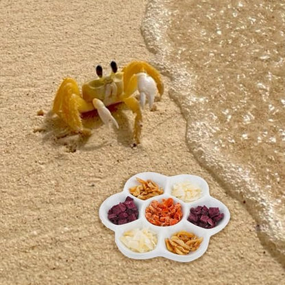 4.53" Hermit Crab Ceramic Food Dish,7 Compartments Ceramic Anti-Turning Food & Water Bowl for Hermit Crab Tarantula Snail - size: 4 inch