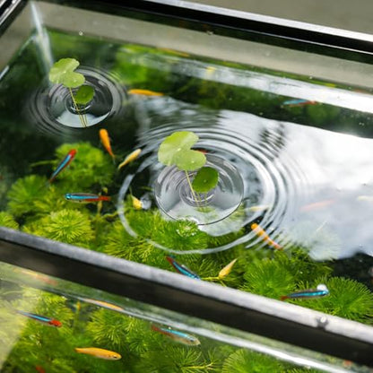 12PCS Creative Floating Floral Arrangement Holder,Floating Flower Display Stand Include 2 Fish Tank Shelf DIY Clear Acrylic Flower Bowl Stem Holder for Small Single Flower Water Plants/Fish Tank Float
