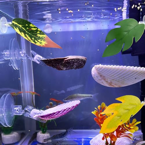 VCEPJH Betta Hammock with Suction Cups Betta Resting Spot 3 Pcs Shell Bed Toys for Aquarium Small Fish Natural Spawning Grounds Breeding Fish Tank Accessories Decorations - color: 3 Pcs Scallops +2 Pcs Oysters + 3 Plant