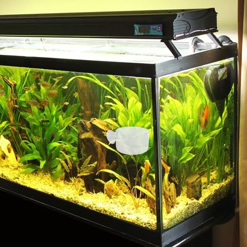 2pcs Aquarium Fish Food Feeder Cups with Suction Large and Small Acrylic Fish Feeding Containers for Chilled Bloodworm and Brine Shrimp for Aquarium Feeding