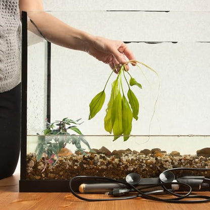 balacoo Simulated Plants Reptile Box Ornament Aquarium Landscape Artificial Plant Decor for Terrarium Habitat Reptile Pet Case Accessories