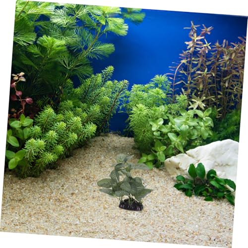 Alipis Realistic Artificial Aquarium Plant Decoration Sturdy Plastic Water Grass Ornament with Base for Fish Tank Landscape and Betta Hiding Spot Easy Maintenance Lifelike Design