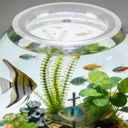 Round Aquarium Cover Lid: 7.48'' Clear Acrylic Aquarium Fish Tank Anti Jump Lid, Multi Hole Efficient Water Maintenance for Turtles Reptiles Shrimps Fish