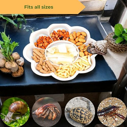 2pcs Hermit Crab Food Bowls with Feeding Tongs and Scooper Set, Hermit Crab Food Bowl Water Dishes Accessories, Small Animal Foods Dish Kit, Feeder Bowl for Snail Tortoise Crab (Blue)