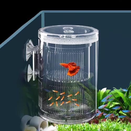 La La Pet Floating Fish Breeding Isolation Box with Suction Cups 270°Flowing Water Propagation Separate Parent and Baby Fishes Transparent Hatching Boxes Incubator for Tanks Large