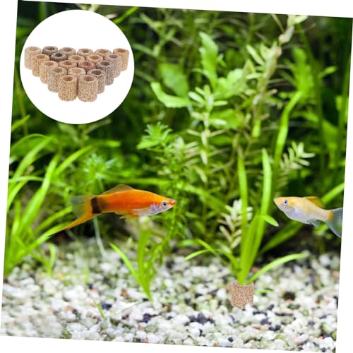POPETPOP 20pcs Pottery Fixed Ring for Aquatic Plants Fish Tank Decor Betta Fix Guppy Grass Fish Tank Landscape