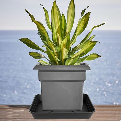 Square Plant Saucer Tray 8 inch 2 Pack, Heavy Duty Plastic Square Plant Saucers for Indoors Outdoor, Flower Planter Drip Trays for Pots, Seed Starting Tray