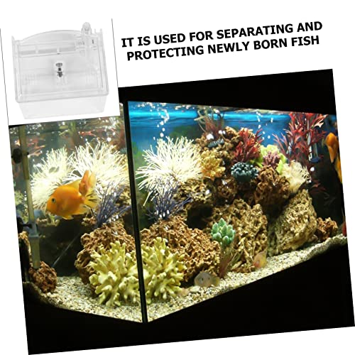 Toddmomy 1pc Fish Breeding Box Aquarium Isolation Case External Hanging Design for Breeding Acclimation Premium Fish Tank Accessory