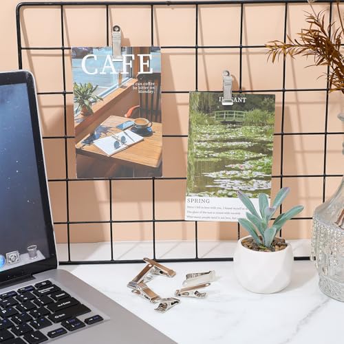 22 Pcs Small Metal Clips, Stainless Steel Alligator Clips for Crafts, Oven Safe Clip for Baking Pan, Mini Clamps Backdrop Clip for Office Paper Hanging Lights