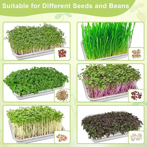 Stainless Steel Sprouting Trays, 2-Tier 10.4 x 7.7 in Microgreens Growing Tray Set with Extra-Fine Silicone Mesh for Alfalfa, Broccoli, Mung Beans, Peas, Rapeseed, Wheatgrass - size: 10.4"L × 7.67"W Tray