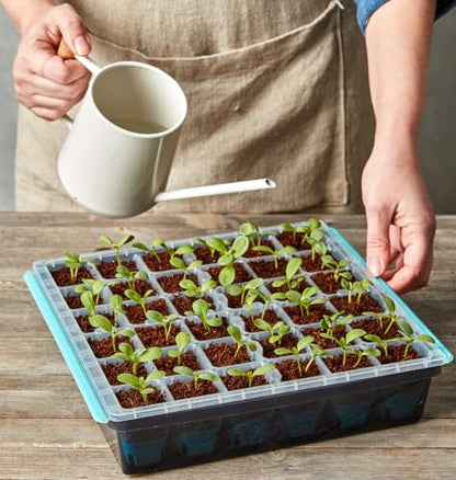 Burpee SuperSeed Seed Starting Tray | 36 Cell Reusable Seed Starter Tray | for Starting Vegetable, Flower & Herb Seeds | Indoor Grow Kit for Plant Seedlings | for Germination Success - size: 36 Cells