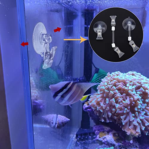 SUPERFINDINGS 2Pcs Seaweed Clip Veggie Feeder Clip with 4Pcs Plant Suction Cup with Clip Feed Holder Clip for Aquarium Fish Tank Accessories