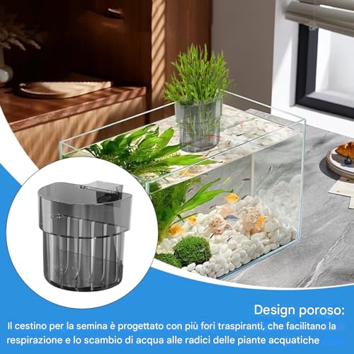Plances for Pisher Tank Assembled Aquarium | Plant with Hook | Fish with Water Hooks | Water Grow Decoration