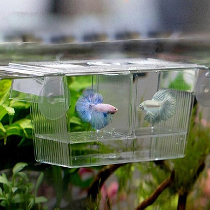Aquarium Fish Tank Guppy Double Breeding Breeder Rearing Trap Box Hatchery Direct