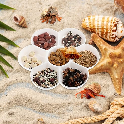2 Pcs Hermit Crab Ceramic Food Dish, Small Hermit Crab Water Dish Hermit Crab Kit Mini Food Dish Kit for Hermit Crab Tarantula and Snail (White)