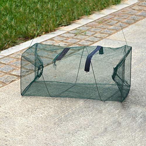 Collapsible Fishing Trap Net,Fish Shrimp Minnow Crayfish Crab Baits Cast Mesh Trap Automatic Fishing Nets (Green)