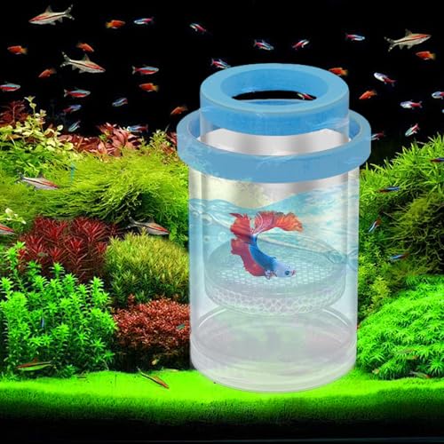Fish Breeder Box - Clear Acrylic, Strong Suction Cups, V-Grate, Safe Fry Hatching Tank Guppy, Protects Fish, Betta Shrimp Isolation Space, Aquatic Separator Nursery | for Aquarium - color: Blue