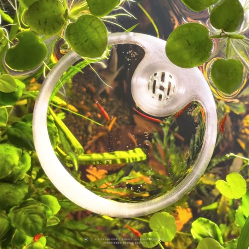 Betta Fish Feeding Ring | Floating Aquarium Portal with Worm Feeder Cone, Fish Tank Feeding Station (Black, SS)