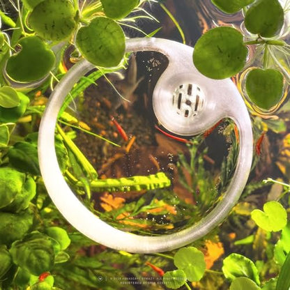 Betta Fish Feeding Ring | Floating Aquarium Portal with Worm Feeder Cone, Fish Tank Feeding Station (Black, SS)