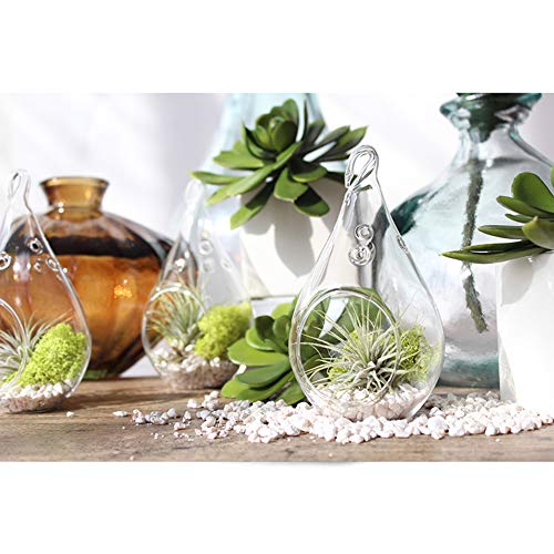 WGV Glass Hanging Plant Terrarium Bulk, Width 3", Height 5.5", Teardrop DIY Air Succulent Planter Clear Tea Light Votive Candle Holder, Wedding Event Office Home Outdoor Decor, 6 Pieces