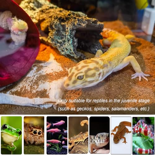 Reptile Hide Cave Small Resin Aquarium Deoration Cave Hollow Tree Trunk Log Fish Tank Ornament Hideout for Small Reptile Gecko Tarantula Fish Shrimp7.3 * 2.7 * 2.7IN