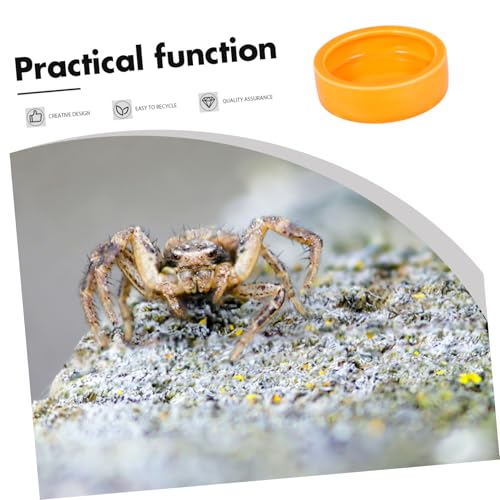 GALPADA Crawler Crawling Pet Feeding Bowl Escape Dish for Shrimp Fish and Reptiles Medium Orange for Aquariums and Decor
