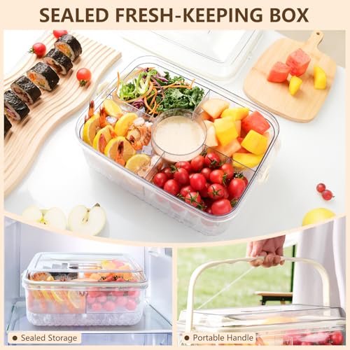 Fruit Ice Divided Serving Tray with Lid, Ice Underneath and Handle, Chilled Serving Platter for Parties, Shrimp Cocktail Serving Dish, Chilled Veggie Tray for Keep Food Cold Outside Party