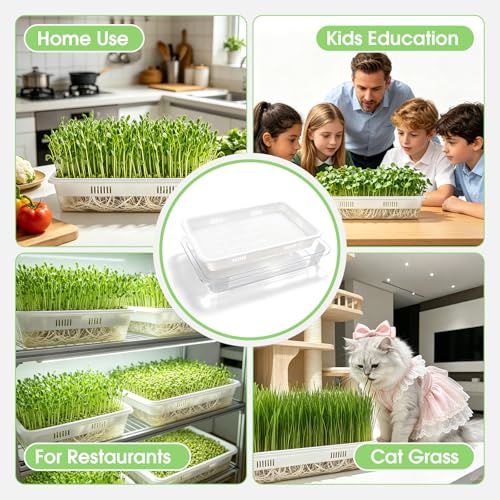 3 Pack Hard Acrylic Microgreens Growing Trays, Visual Soilless Sprouting Kit with Silicone Mats & Spray Bottle, Seed Germination Tray for Wheatgrass, Cat Grass & Vegetables